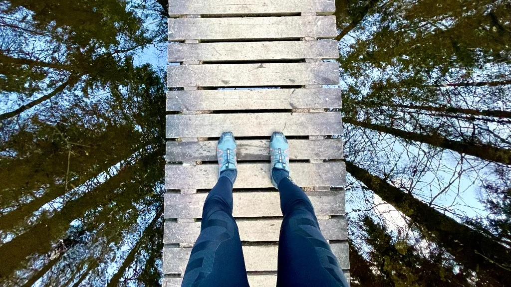 Føtter på trebru gjennom skog – mening og retning